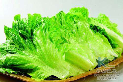 無(wú)土栽培，無(wú)土栽培技術(shù)，無(wú)土栽培設(shè)備