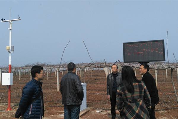 無土栽培，無土栽培技術，無土栽培設備