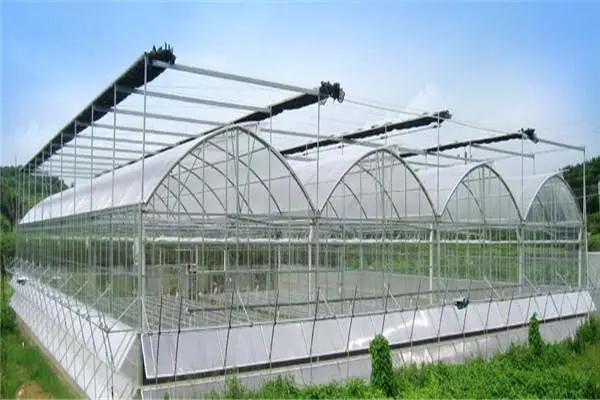 無土栽培，無土栽培技術，無土栽培設備