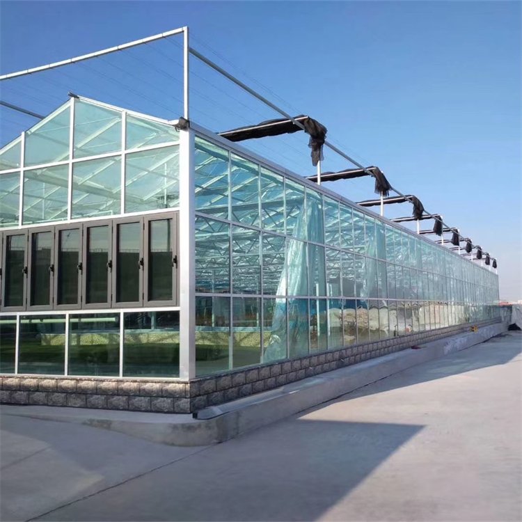 無土栽培，無土栽培技術，無土栽培設備