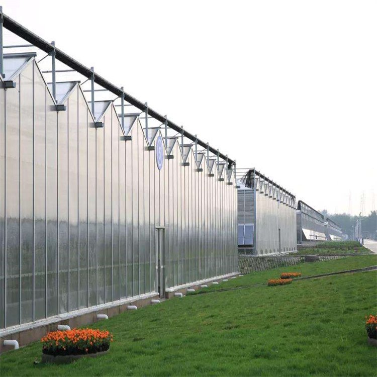 無土栽培,無土栽培技術,無土栽培設備