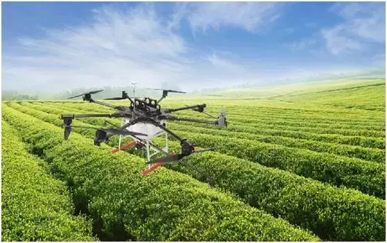 無(wú)土栽培，無(wú)土栽培技術(shù)，無(wú)土栽培設(shè)備