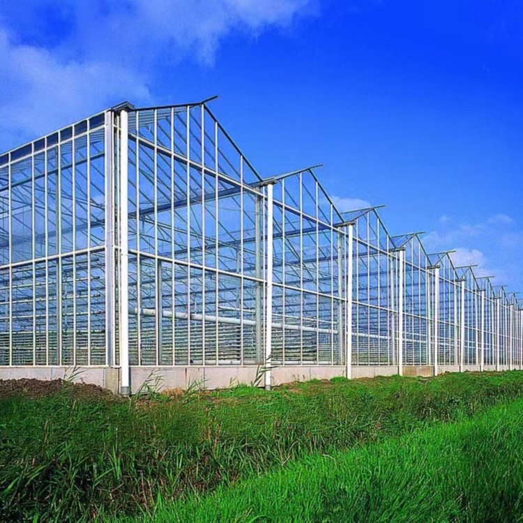 無土栽培，無土栽培技術，無土栽培設備