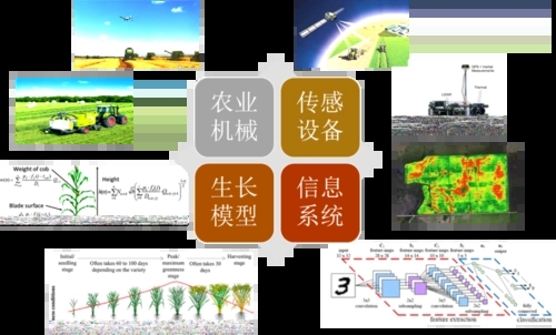 無(wú)土栽培，無(wú)土栽培技術(shù)，無(wú)土栽培設(shè)備