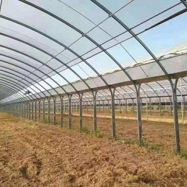 無土栽培,無土栽培技術,無土栽培設備