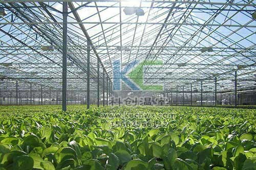 無土栽培，無土栽培技術(shù)，無土栽培設(shè)備