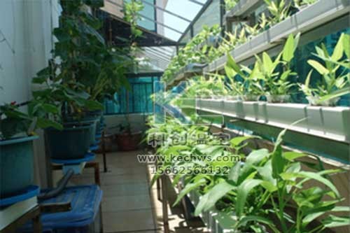 無土栽培，無土栽培技術(shù)，無土栽培設(shè)備