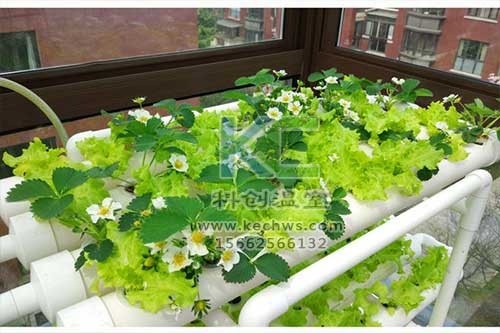 無土栽培，無土栽培技術(shù)，無土栽培設(shè)備