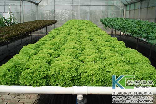 無土栽培，無土栽培技術，無土栽培設備