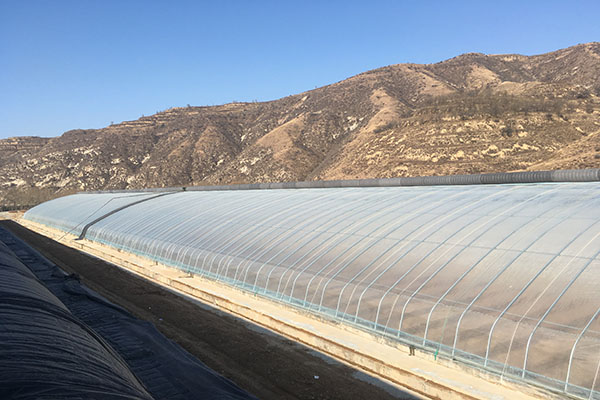 無(wú)土栽培,無(wú)土栽培技術(shù),無(wú)土栽培設(shè)備