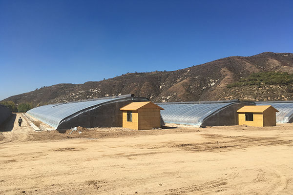 無(wú)土栽培,無(wú)土栽培技術(shù),無(wú)土栽培設(shè)備