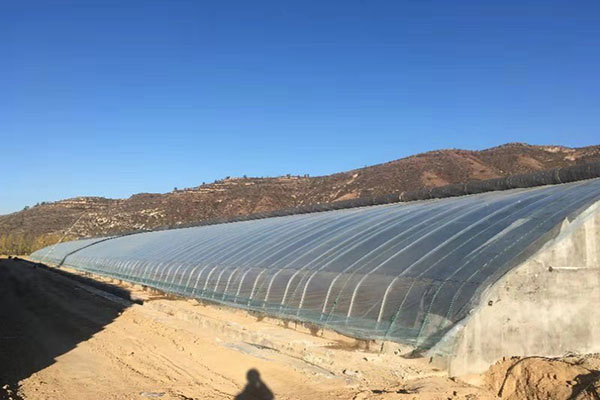 無土栽培，無土栽培技術，無土栽培設備