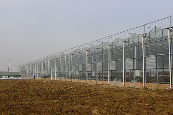 無土栽培,無土栽培技術,無土栽培設備