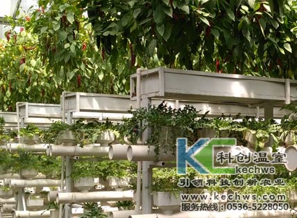 無土栽培，無土栽培技術，無土栽培設備