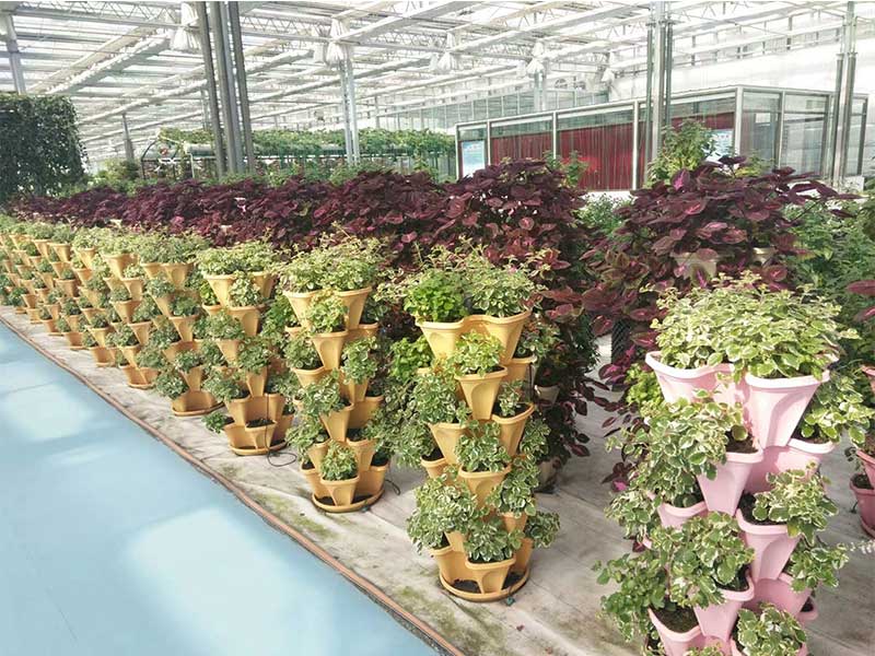 無(wú)土栽培，無(wú)土栽培技術(shù)，無(wú)土栽培設(shè)備